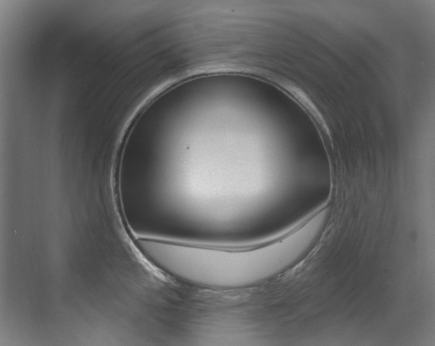X0000073441197200607281023