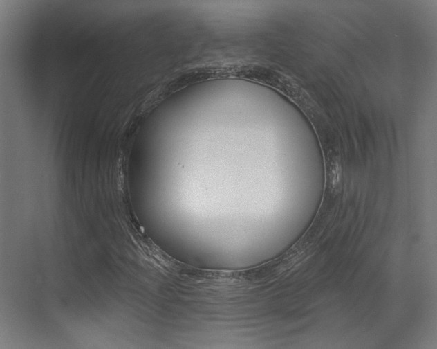 X0000073441204200607281022