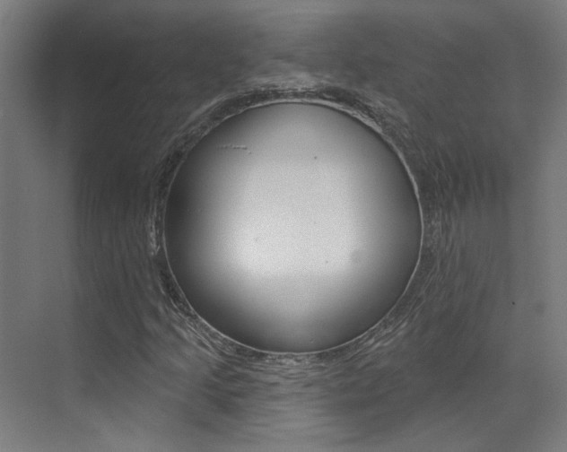 X0000073441205200607281022