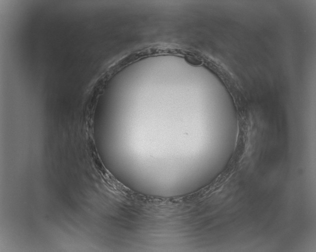 X0000073441207200607281022