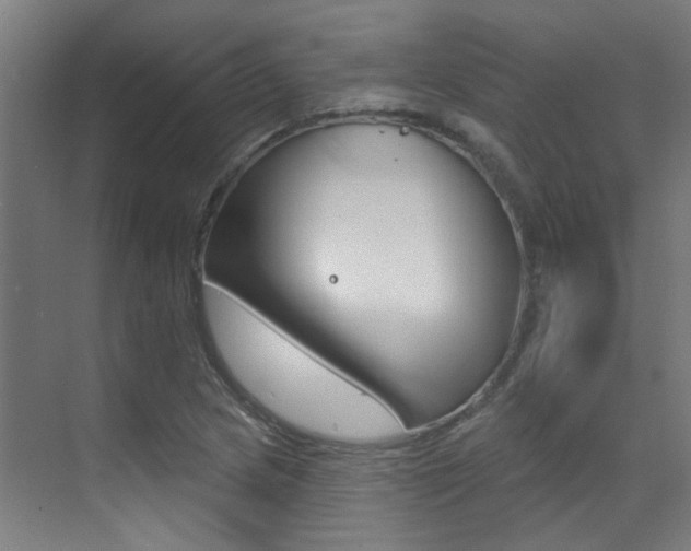 X0000073441217200607281022