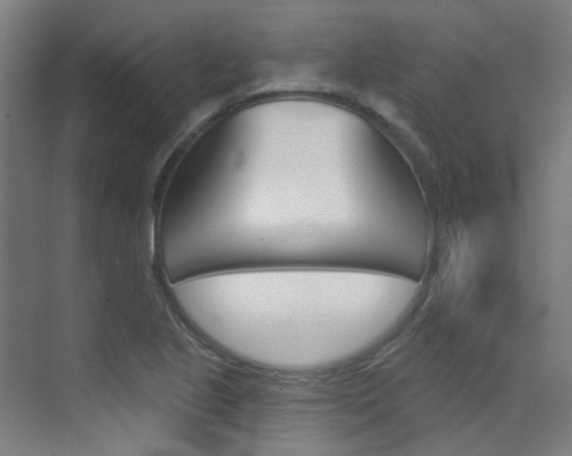 X0000073441221200607281022