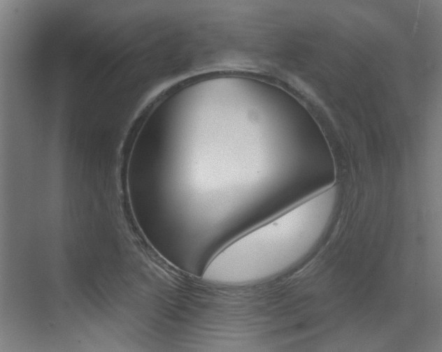 X0000073441222200607281022