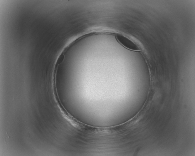 X0000073441231200607281023