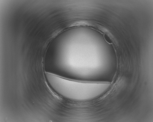 X0000073441233200607281023
