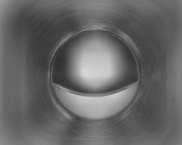 X0000073441234200607281023