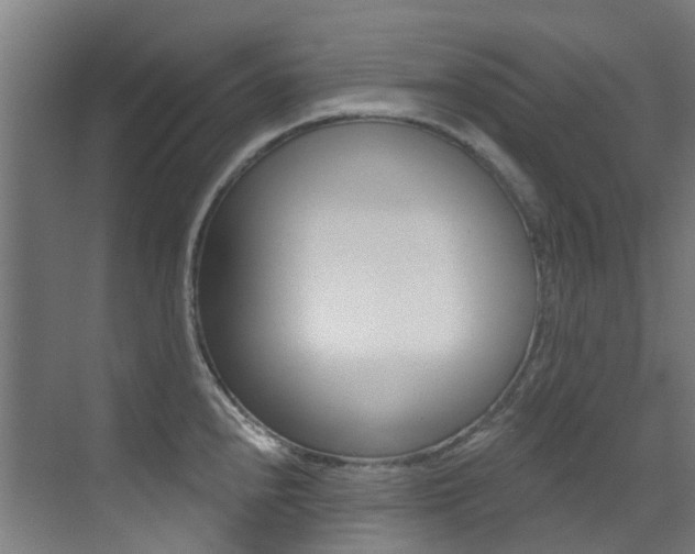 X0000073441240200607281023