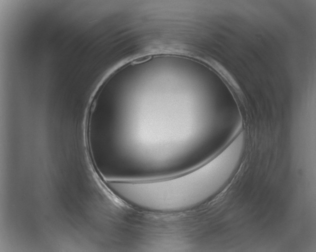 X0000073441246200607281023