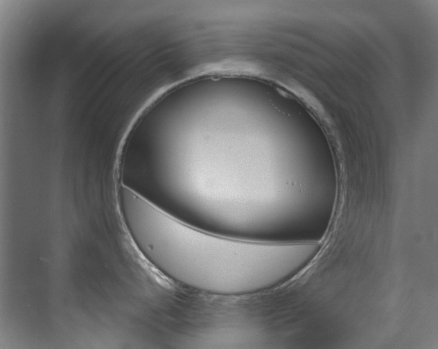 X0000073441248200607281023