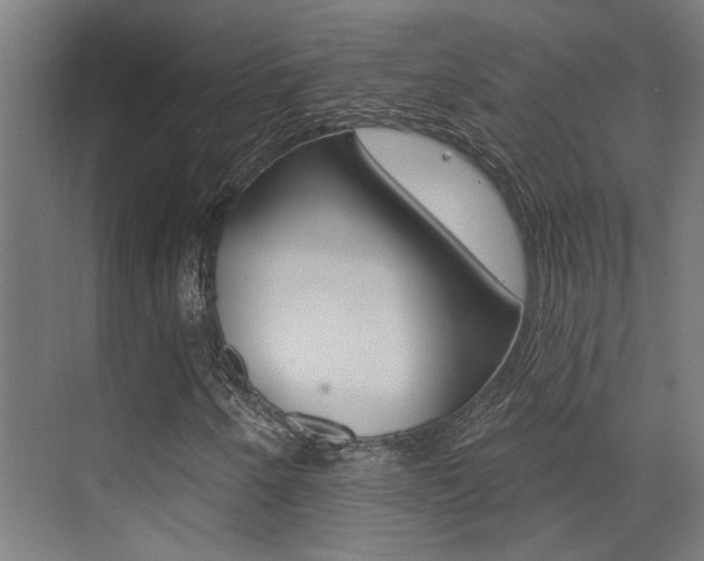 X0000073441250200607281022