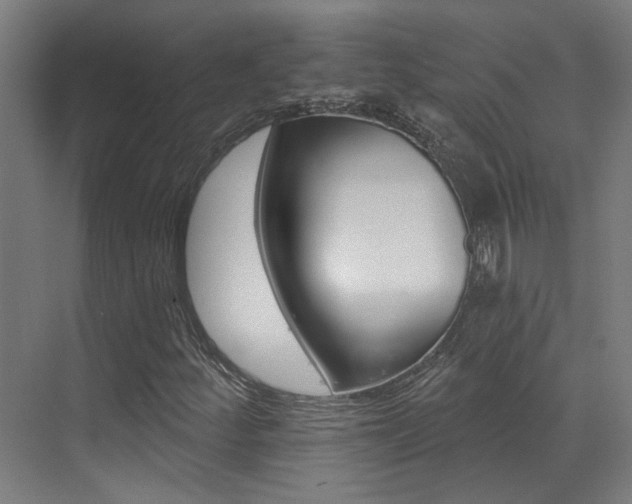 X0000073441252200607281022