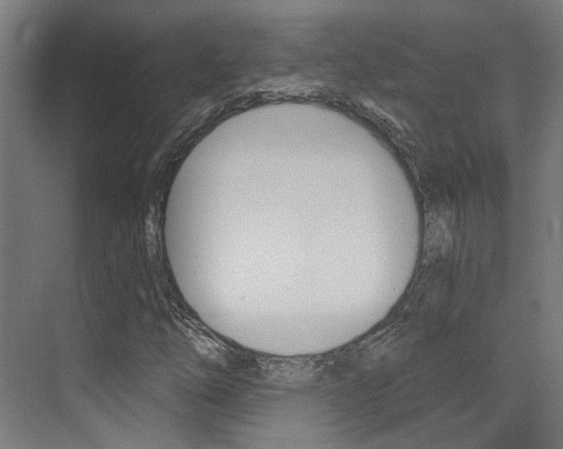 X0000073441254200607281022