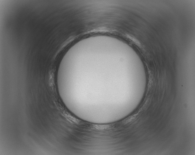 X0000073441258200607281022