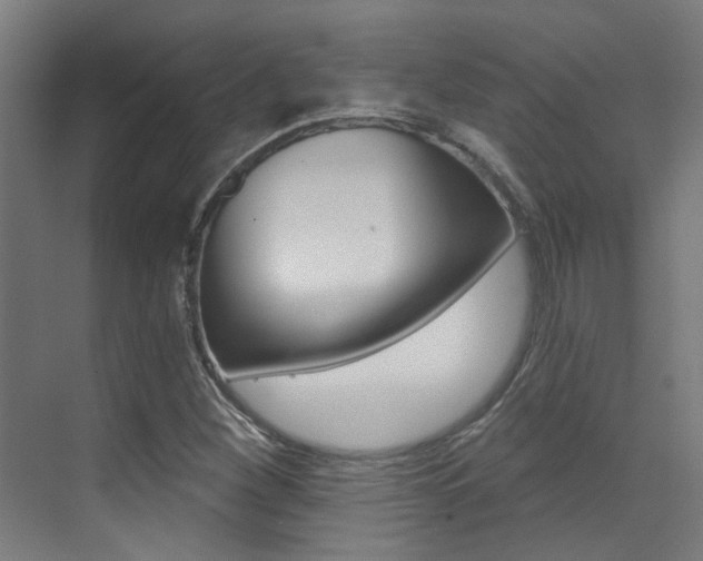 X0000073441260200607281022