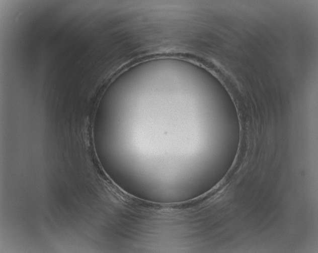 X0000073441265200607281022