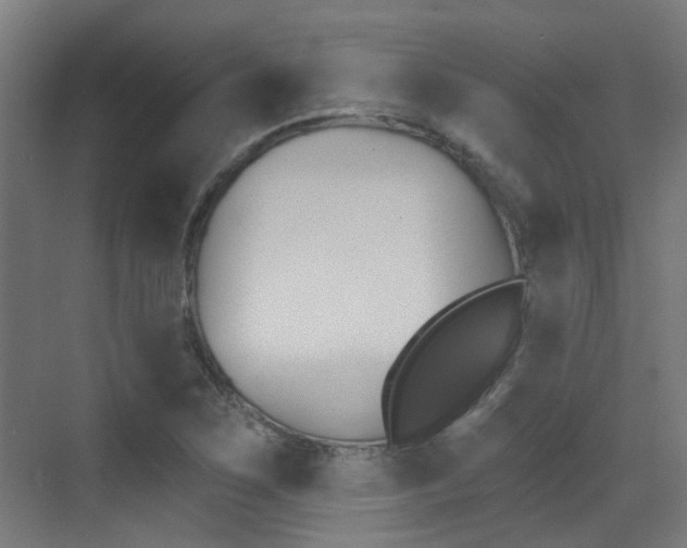 X0000073441267200607281022