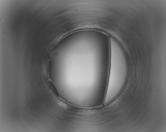 X0000073441273200607281022
