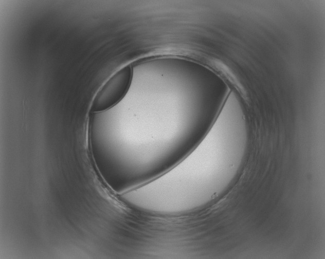 X0000073441276200607281022