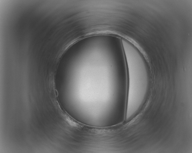 X0000073441289200607281021