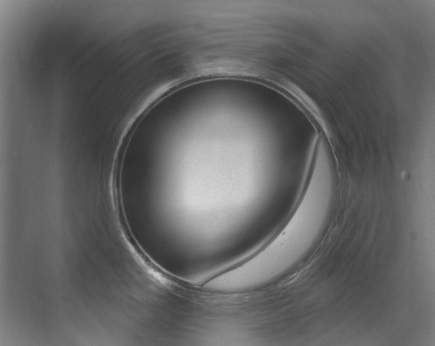 X0000073441293200607281021