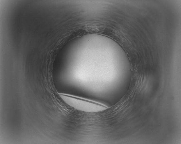 X0000073441297200607281020