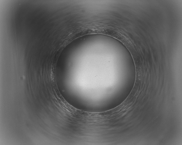 X0000073441298200607281020