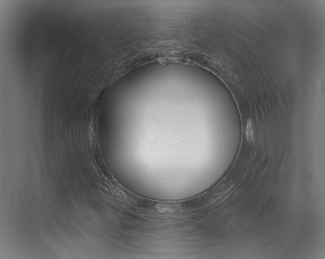 X0000073441299200607281020