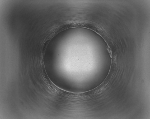 X0000073441300200607281020