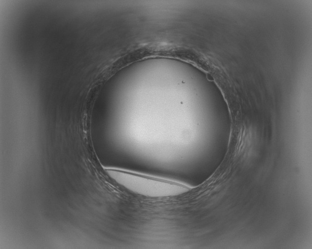 X0000073441301200607281020