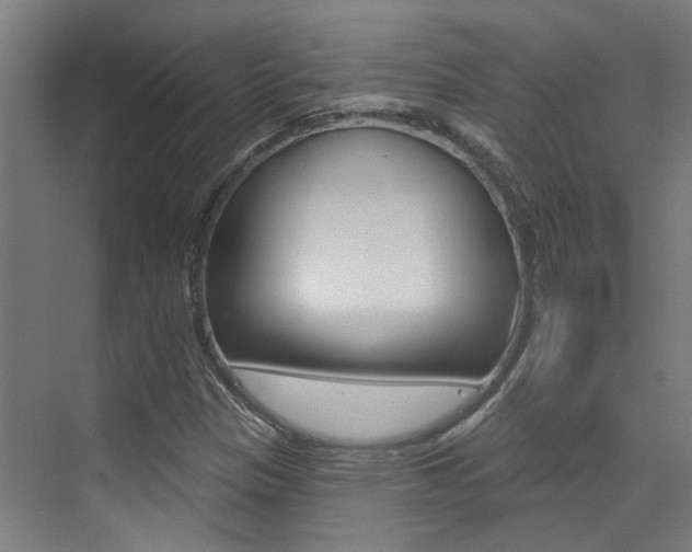 X0000073441305200607281021