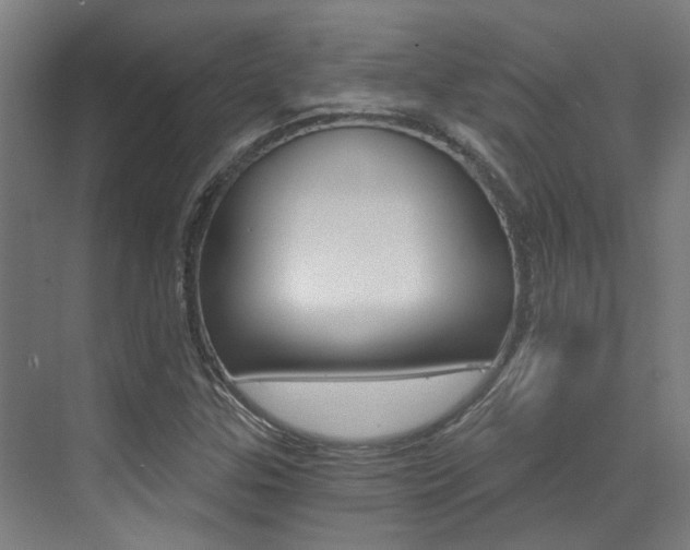 X0000073441307200607281021