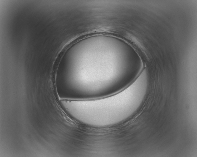 X0000073441308200607281021