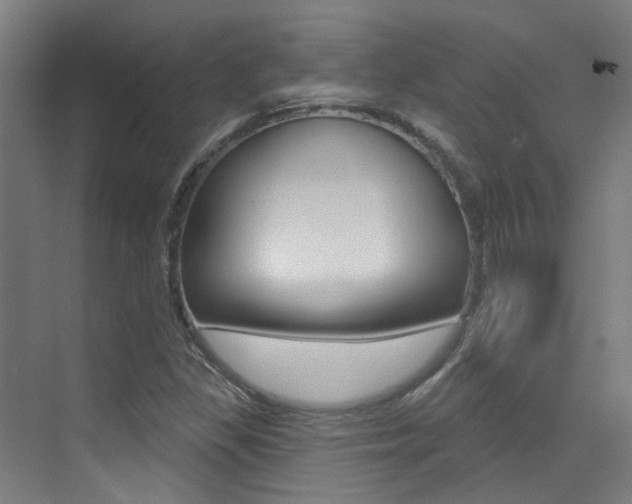 X0000073441309200607281021