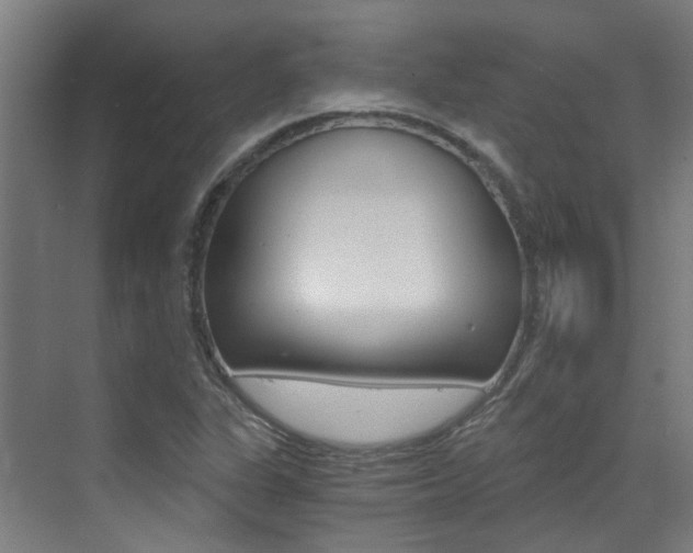 X0000073441311200607281021