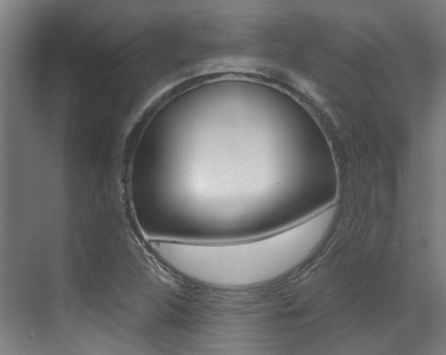 X0000073441312200607281021