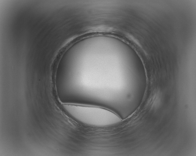 X0000073441315200607281021