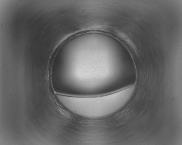 X0000073441316200607281021
