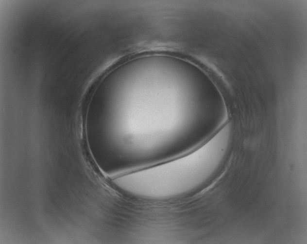 X0000073441317200607281021
