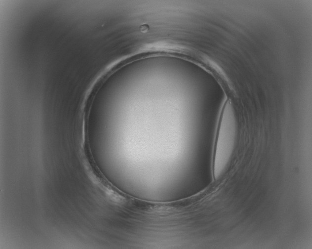 X0000073441323200607281021
