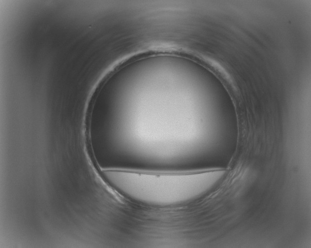 X0000073441327200607281021