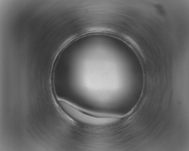 X0000073441330200607281021