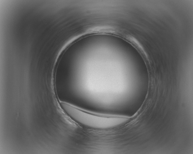 X0000073441336200607281021
