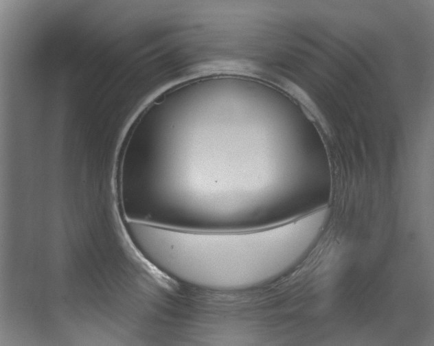 X0000073441339200607281021