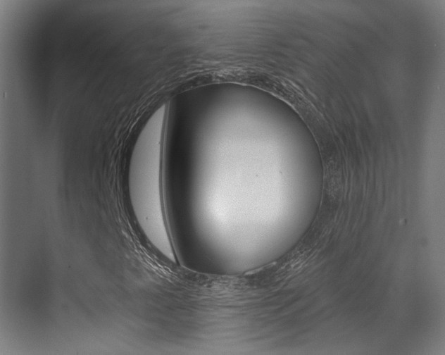 X0000073441345200607281020