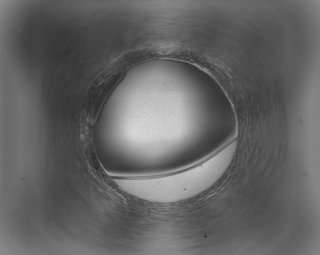 X0000073441349200607281020
