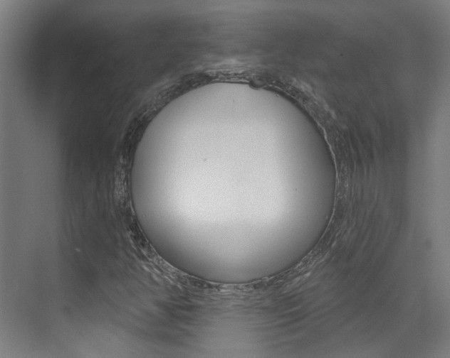X0000073441350200607281020