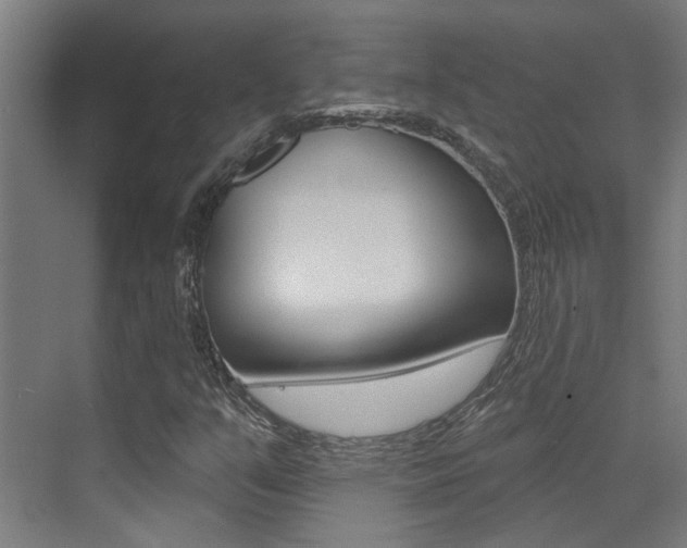 X0000073441351200607281020
