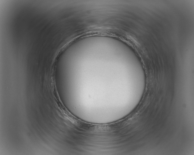 X0000073441354200607281020