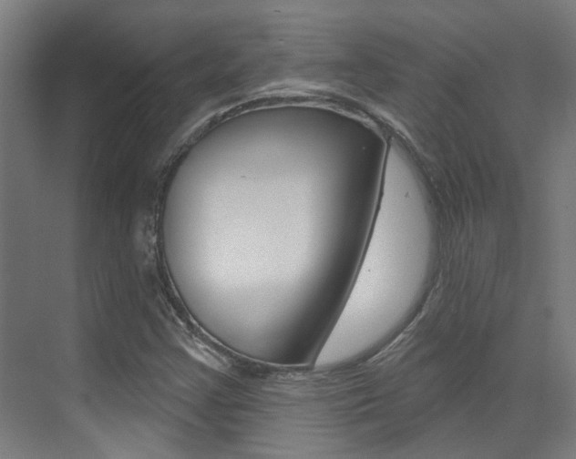 X0000073441355200607281020