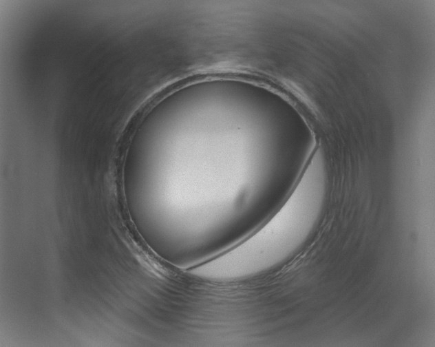X0000073441356200607281020